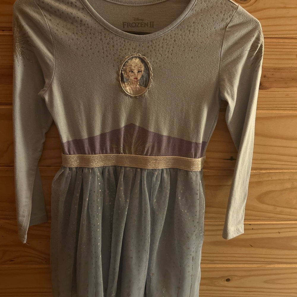 Disney Silver and Gold Kids Costume Dress